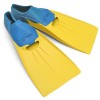 PALME COURTE