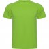 VERT FOUGERE 226