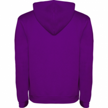 SWEAT URBAN - JUNIOR - photo 1